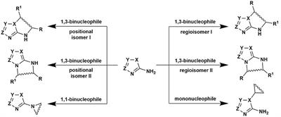 Aminoazole-Based Diversity-Oriented Synthesis of Heterocycles